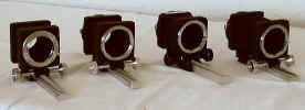 Focabel_small_4types.jpg (39768 bytes)