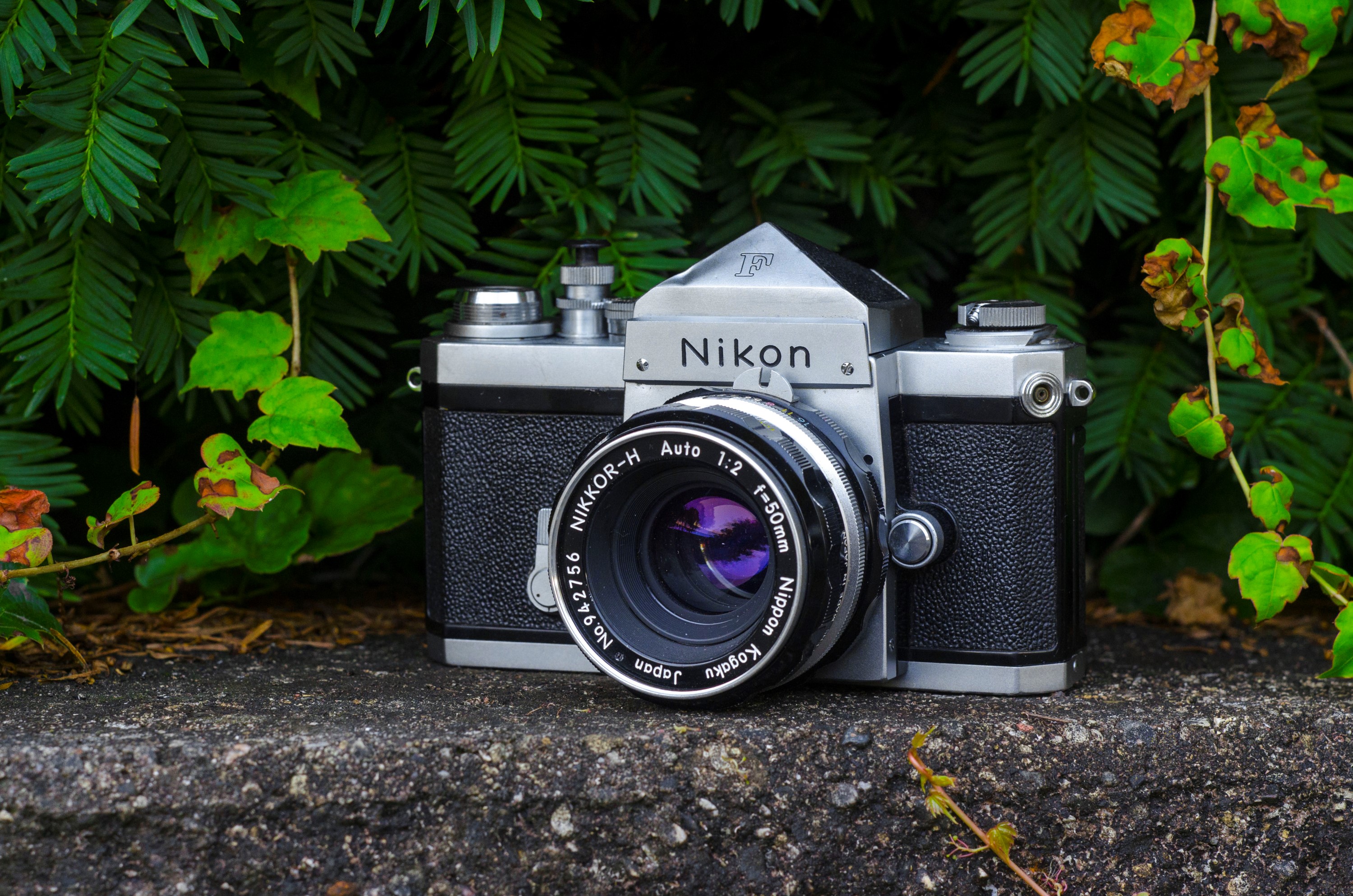 vintage camera drawing nikon