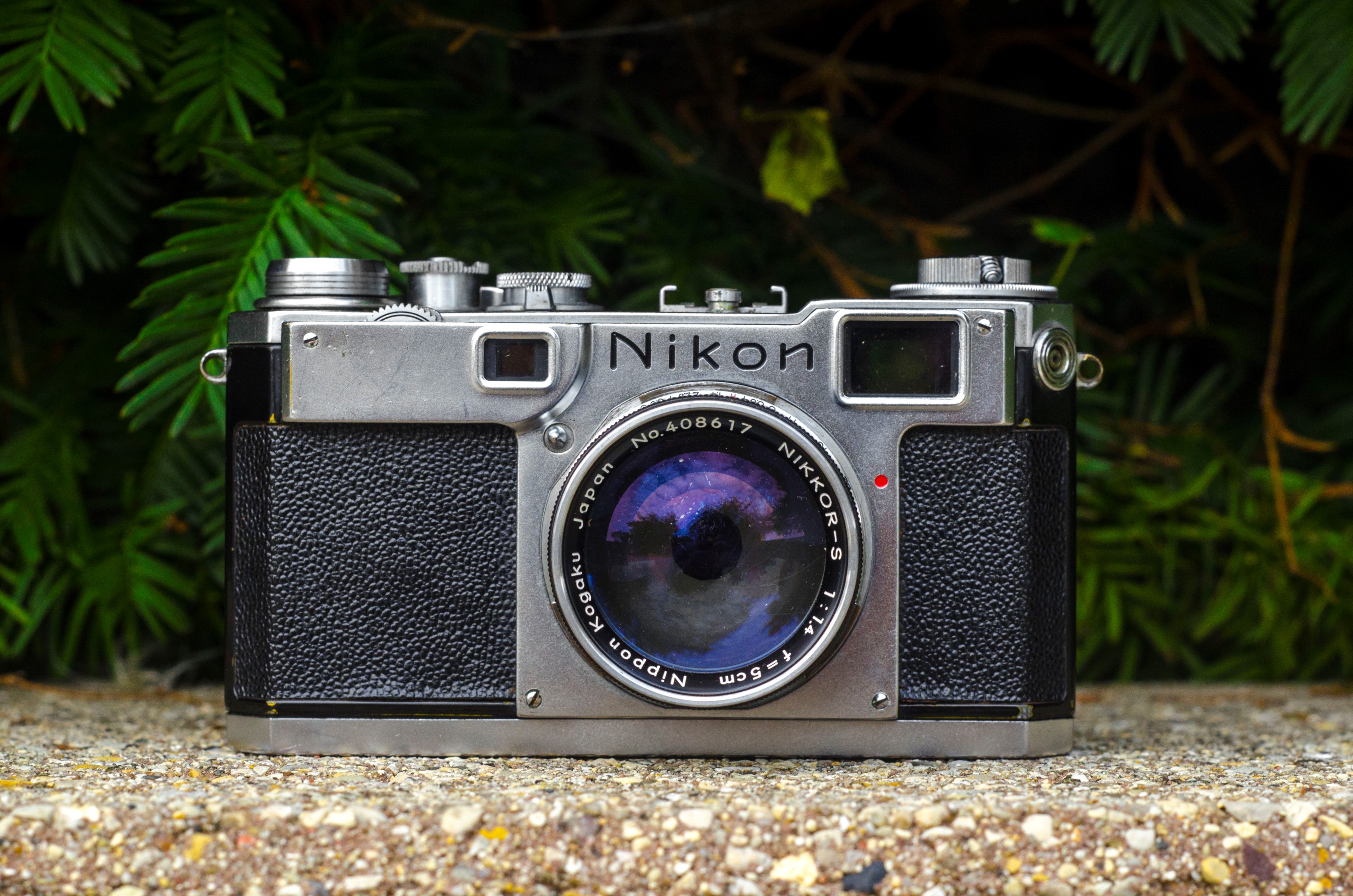 Nikon S2 (1955)