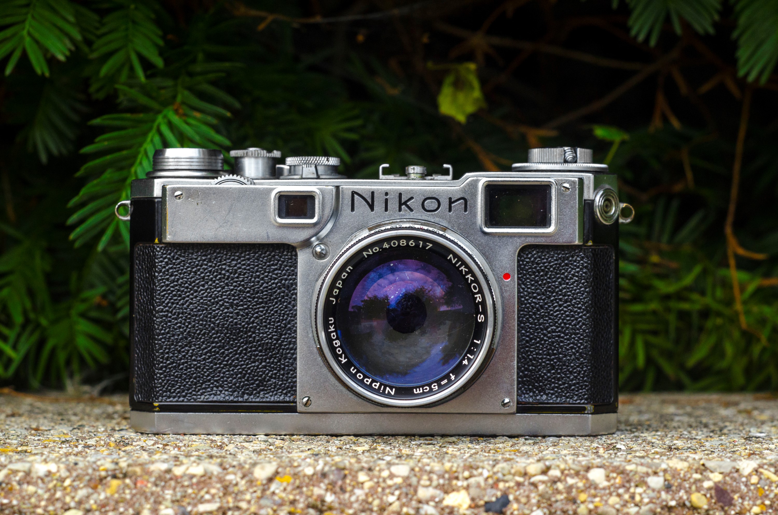 nikon s2 rangefinder magnification