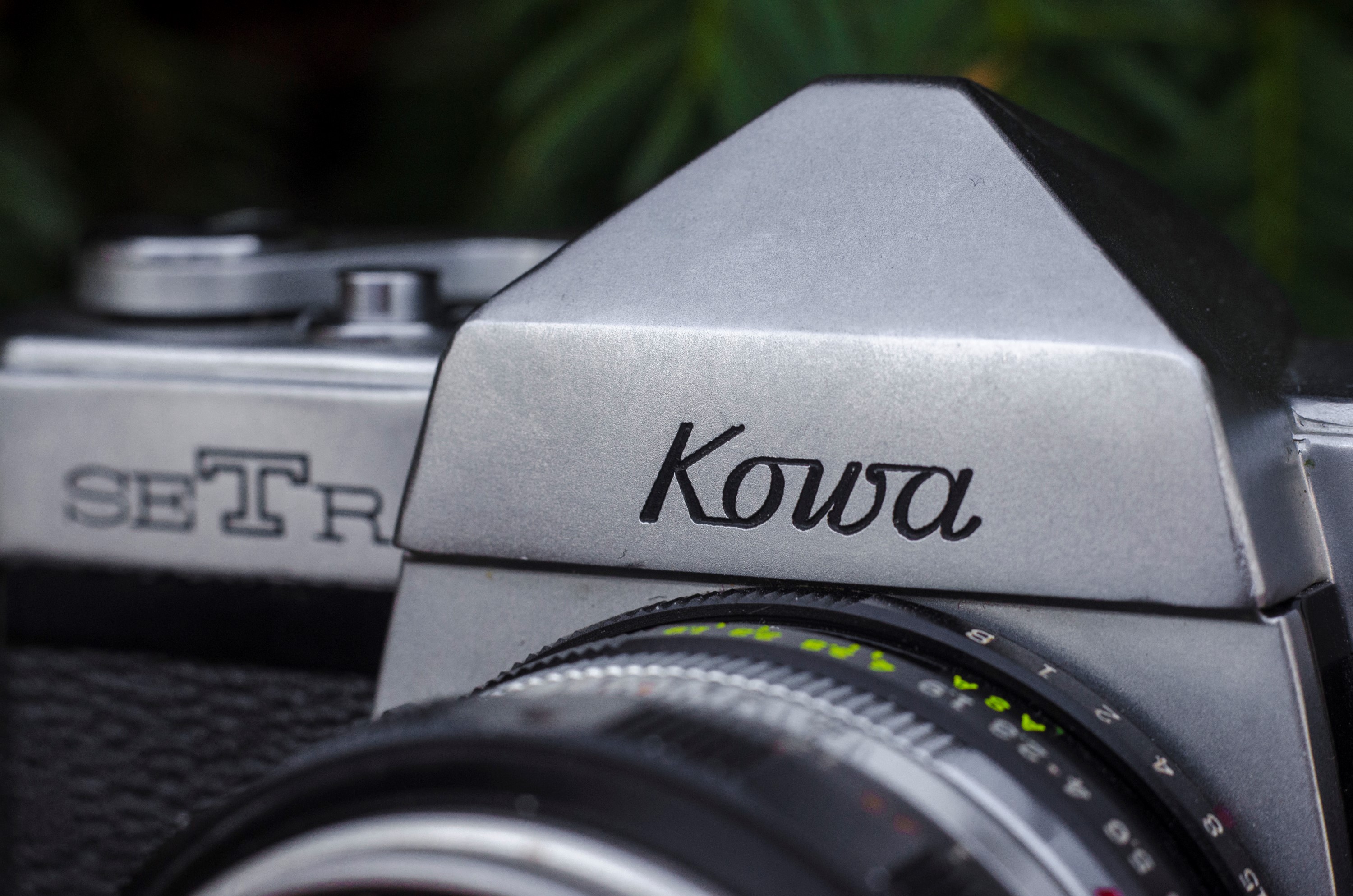 Kowa SET-R w/ Kowa 135mm f/4 - mike eckman dot com