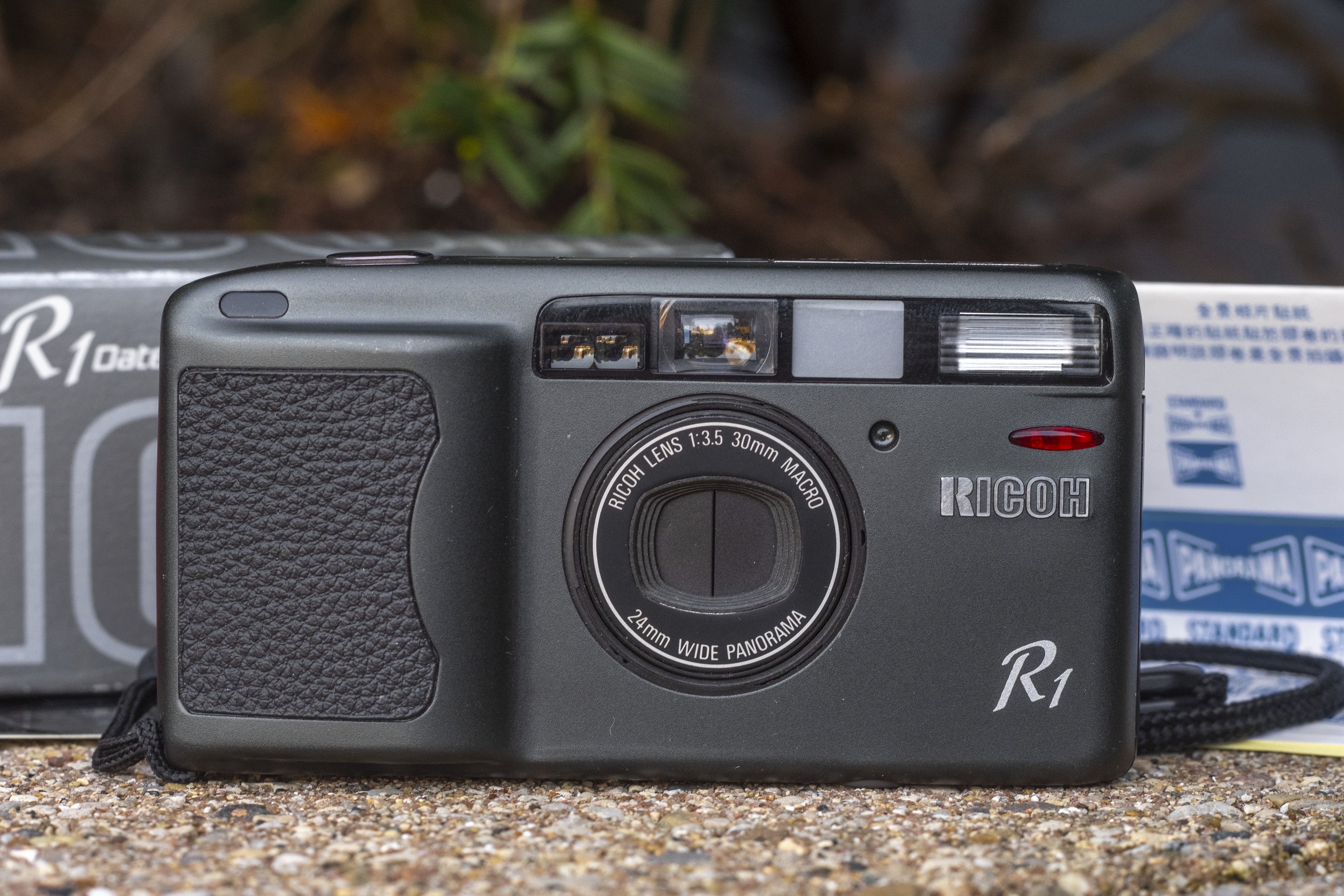 Ricoh R1 1994 Mike Eckman Dot Com