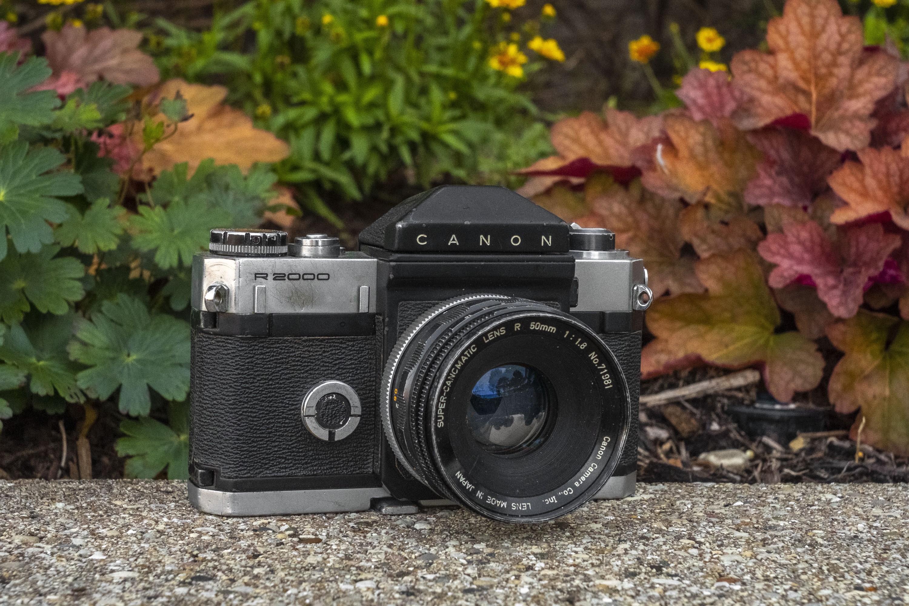 Canonflex R2000 (1960) - mike eckman dot com