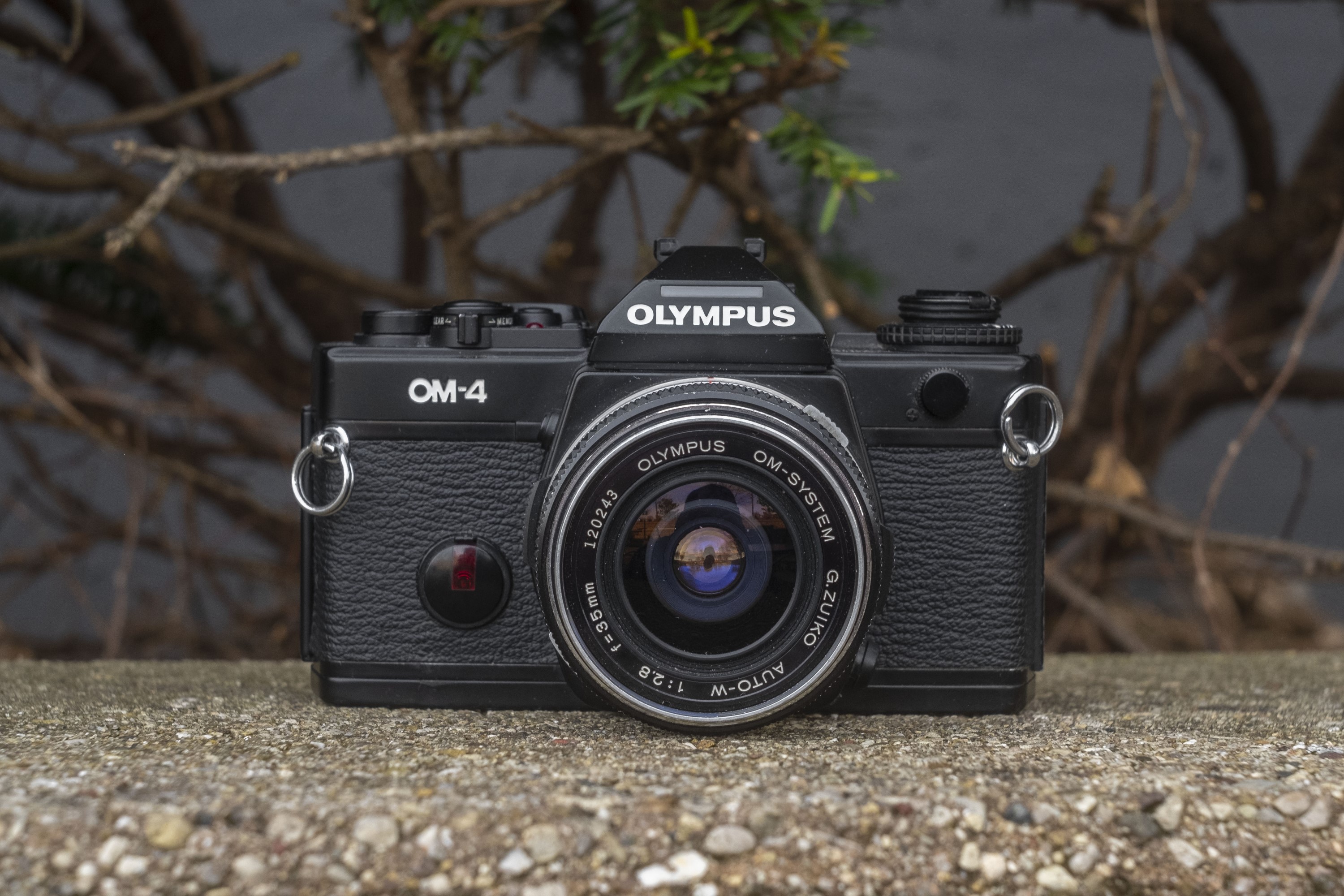 Olympus OM-4 (1983)