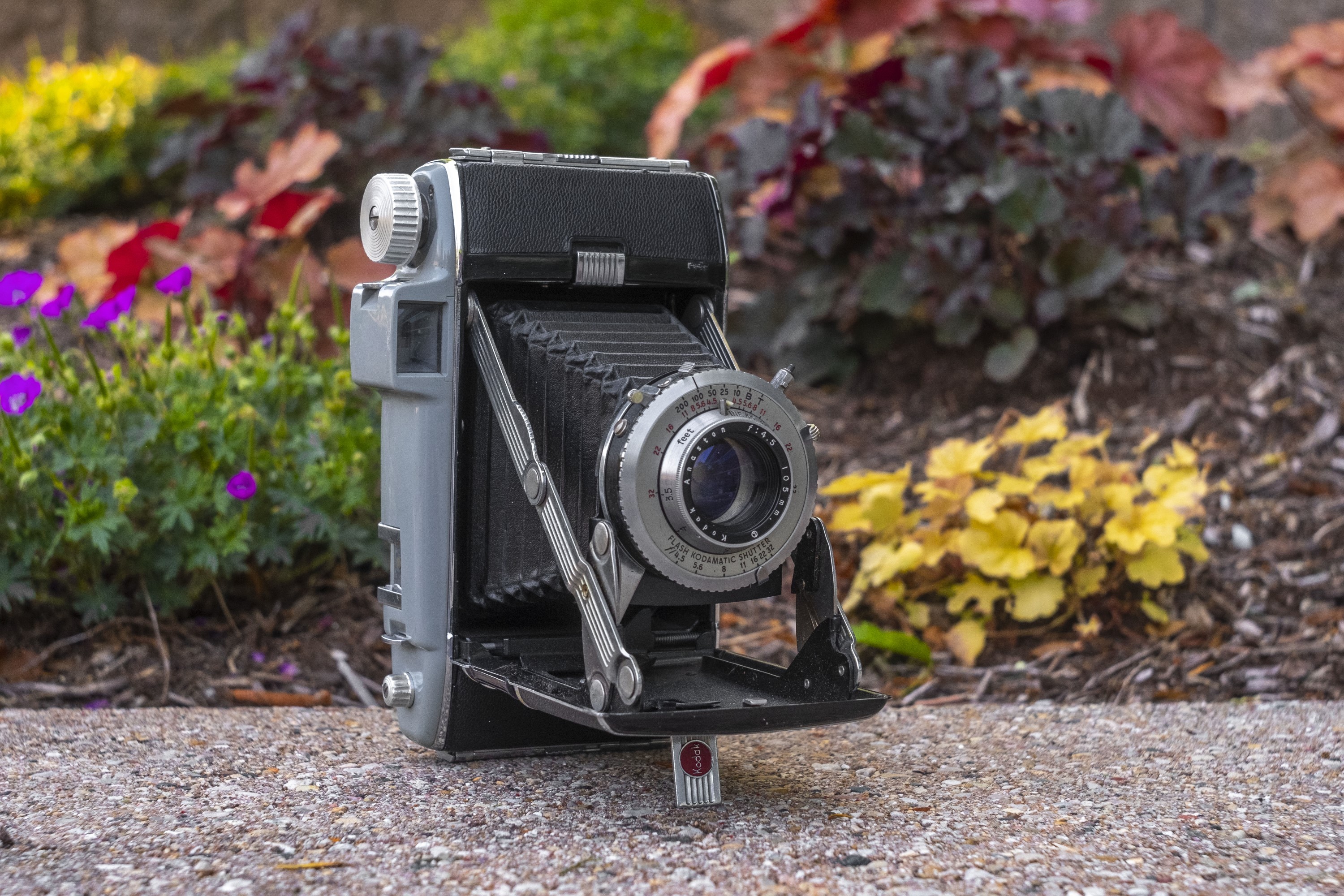 Agfa A Total Of 5 Antique and vintage Camera Lot Agfa And Polaroid Kodak Key Stone 