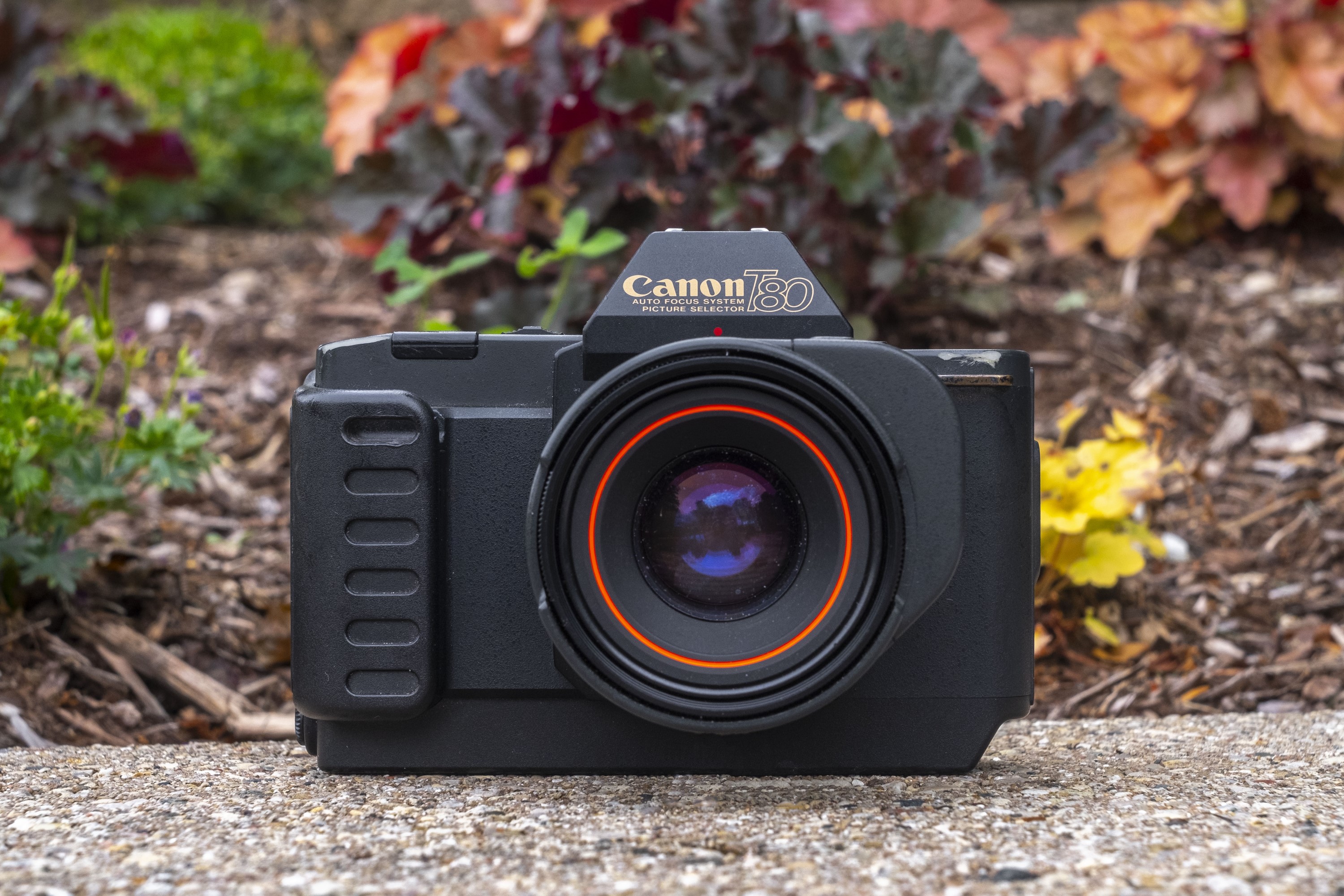 Canon Command Back 80 for T80 Cameras 