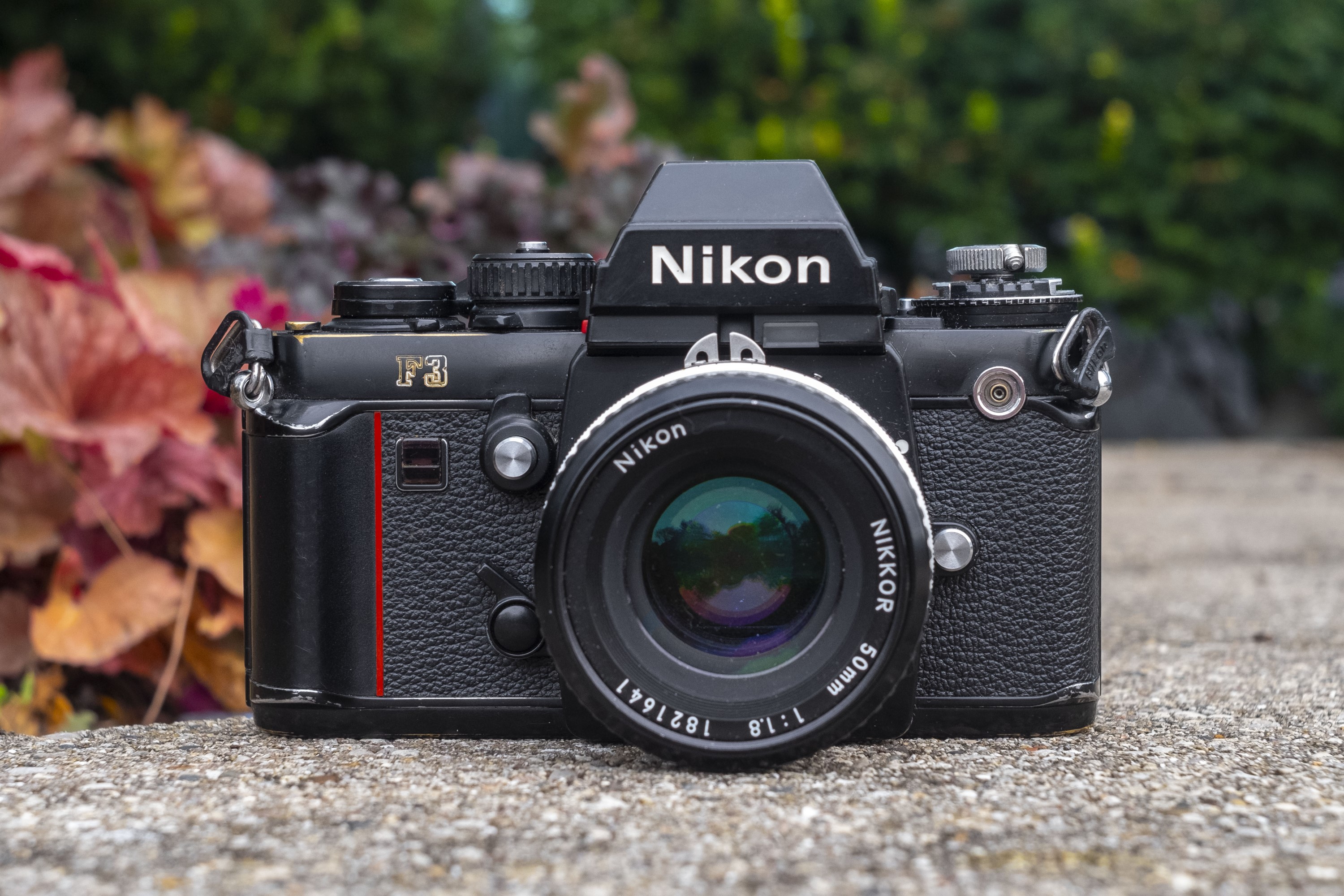 Nikon F3 (1980) - mike eckman dot com