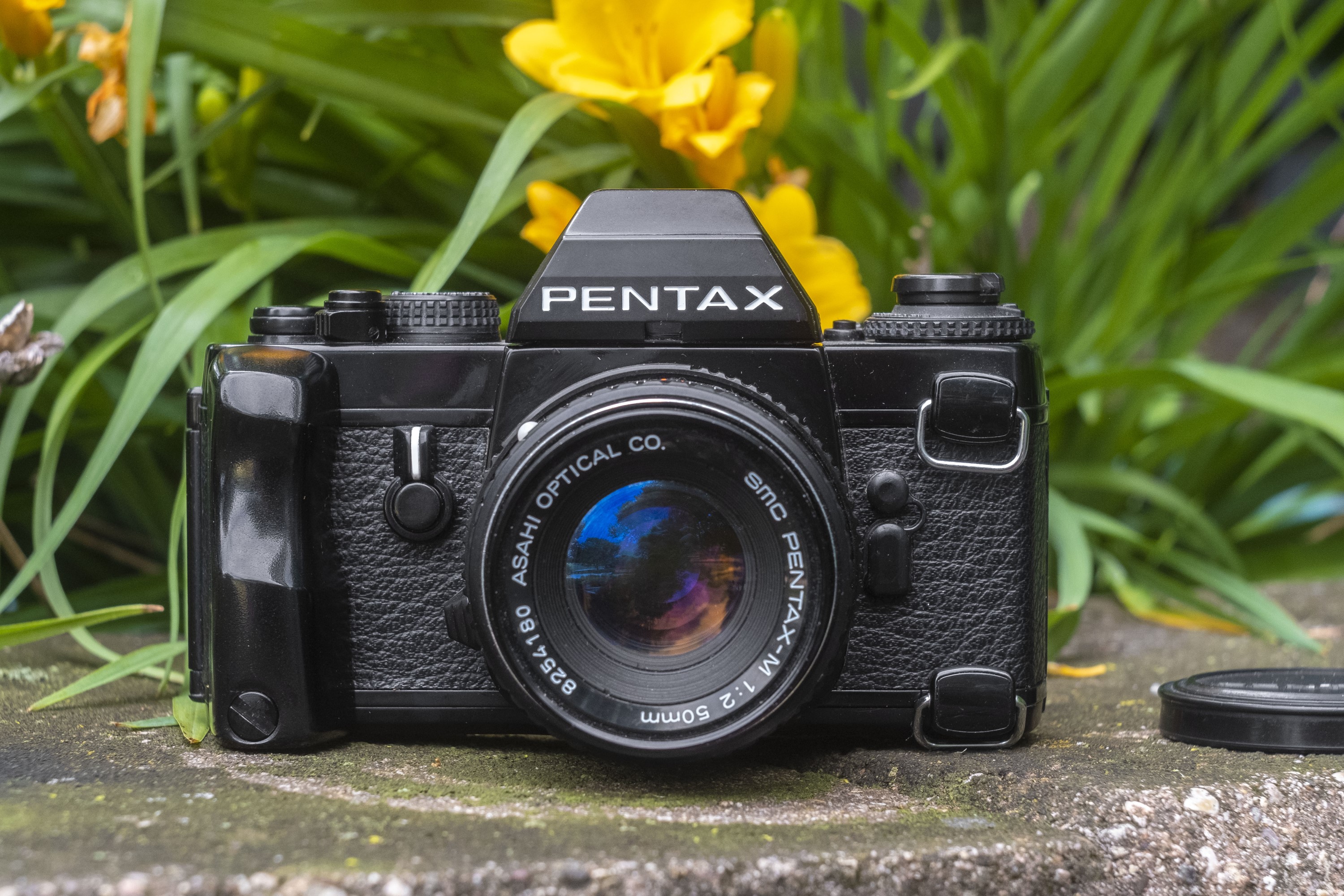 pentax film camera models